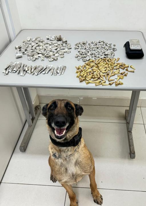 Foto 2 de 2 — BAEP apreende 361 porções de maconha e cocaína em Araraquara